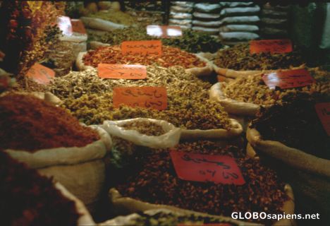 Postcard world of spices