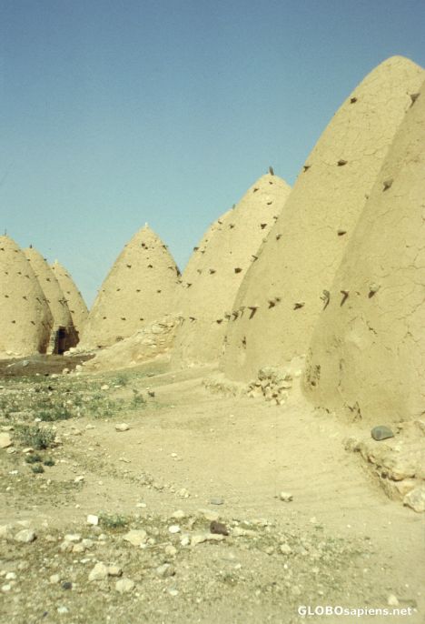 Postcard Beehive Houses