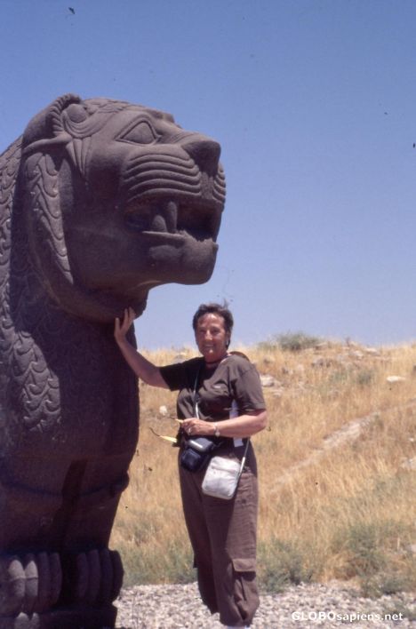 Postcard Me and the Lion