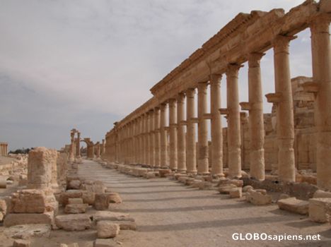 Postcard Colonade avenue.