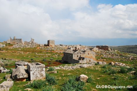 Postcard Serjilla