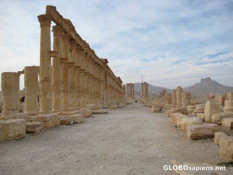Postcard Palmyra