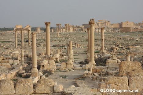 Postcard Palmyra