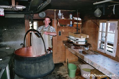 Postcard Cheese Production