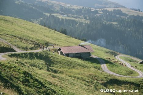 Postcard Lone Alpine Farm