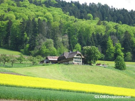 Postcard Spring in Emmental