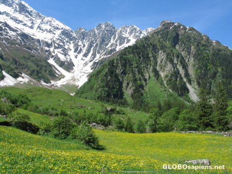 Postcard scenery on grimsel pass