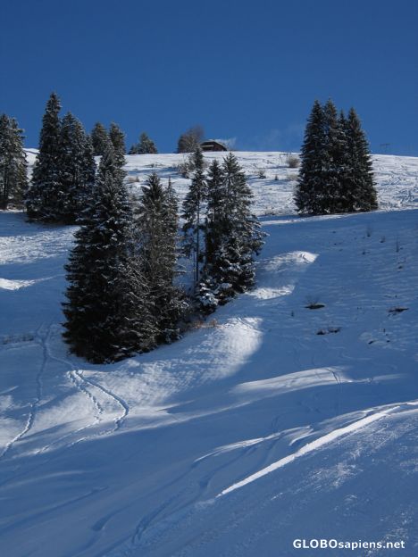 Postcard go skiing!