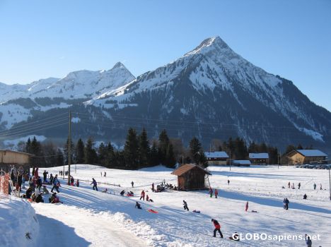 Postcard Winter pleasures