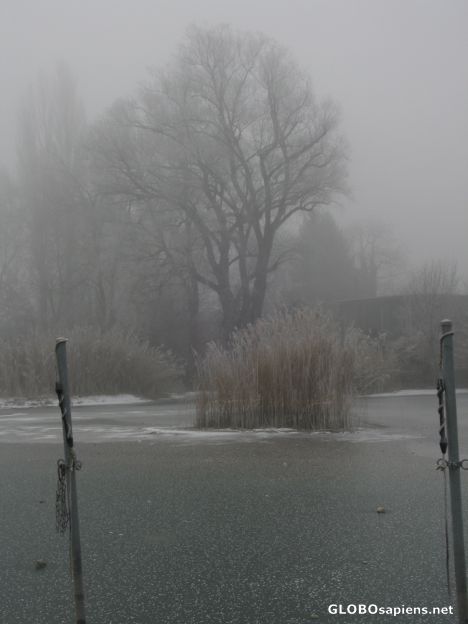 Postcard Misty Mood