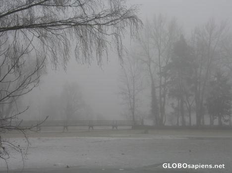 Postcard foggy