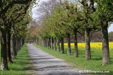 Postcard Spring in Bonstetten park