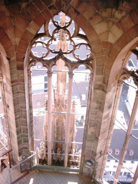 Postcard MÜNSTER FREIBURG
