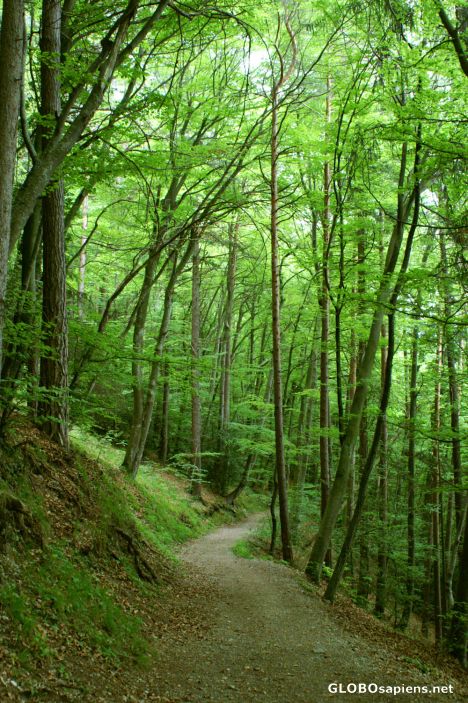 Postcard Pilgerweg (pilgrims trail) near Merligen