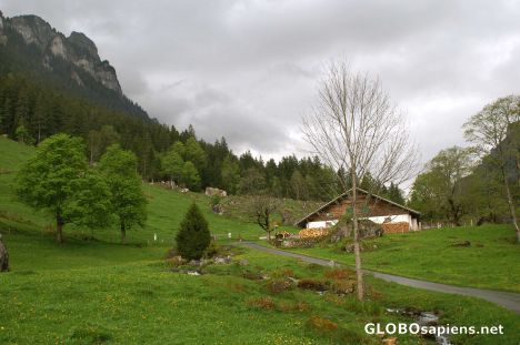 Postcard Grön in the Justistal