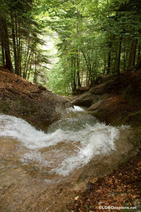 Postcard Cholerenschlucht 1