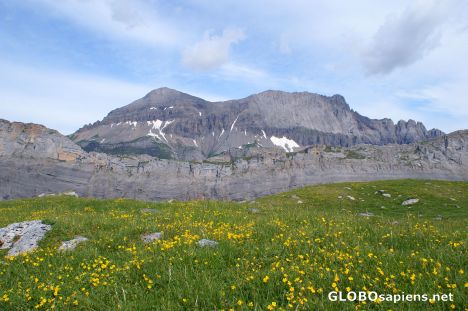 Postcard Alpine meadow, Gross Lohner in the background