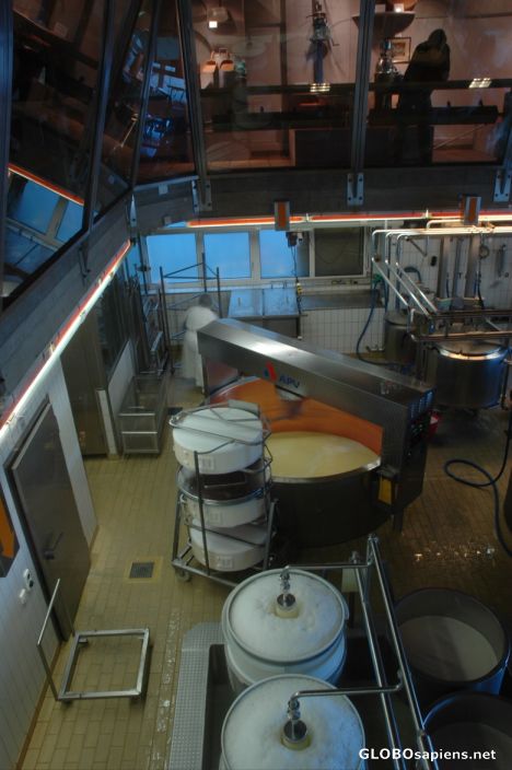Postcard Cheese production