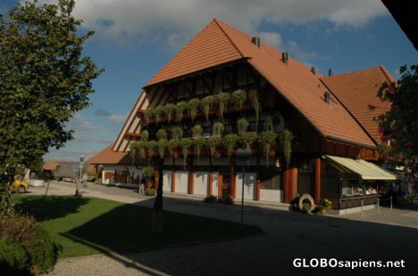 Postcard Emmental showdairy