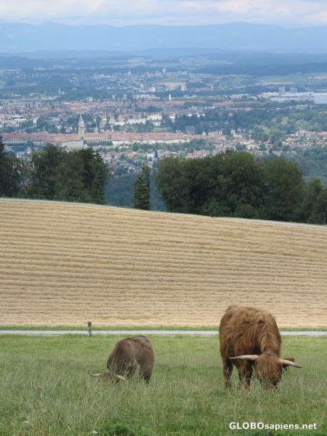 Postcard Rural Capital