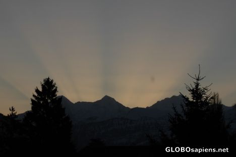 Postcard Morning Glory
