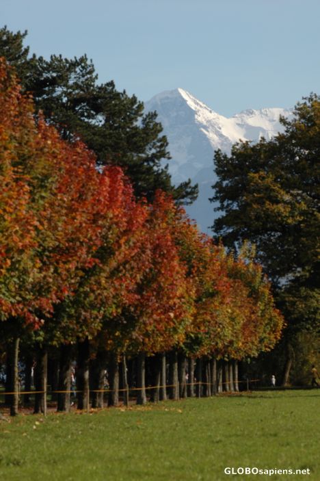 Postcard Fall in Bonstettenpark