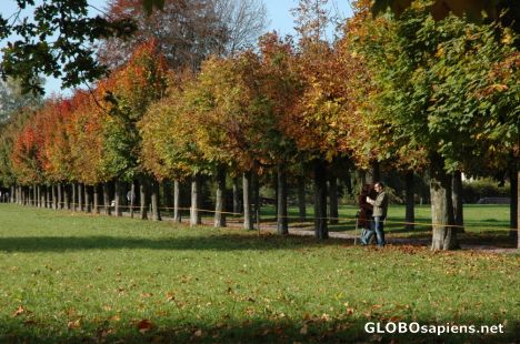 Postcard Fall romance
