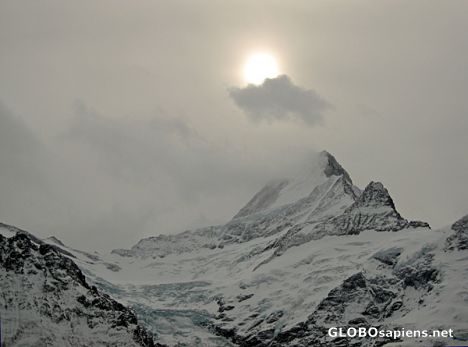 Postcard Schreckhorn