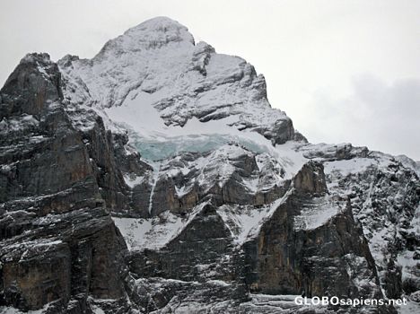 Postcard Wetterhorn