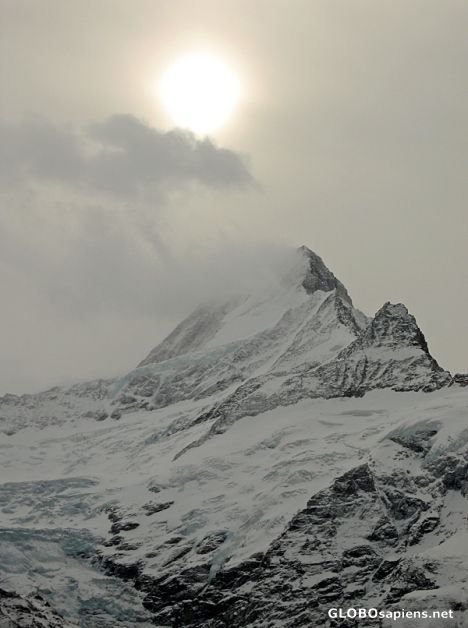 Postcard Schreckhorn