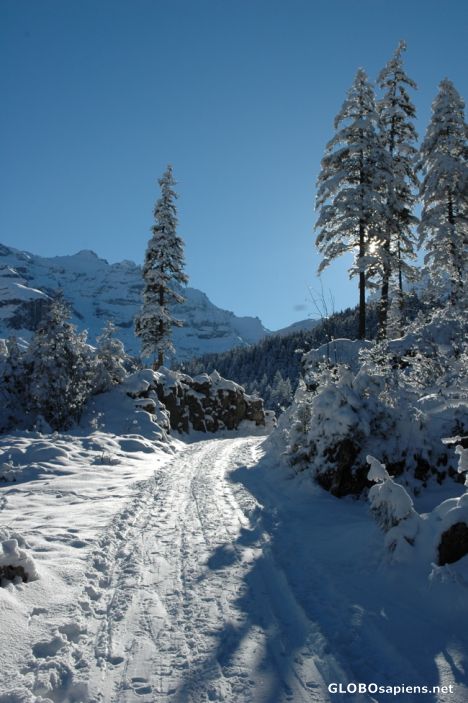 Postcard Wintery landscape