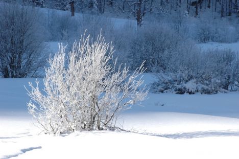 Postcard Snow glitter