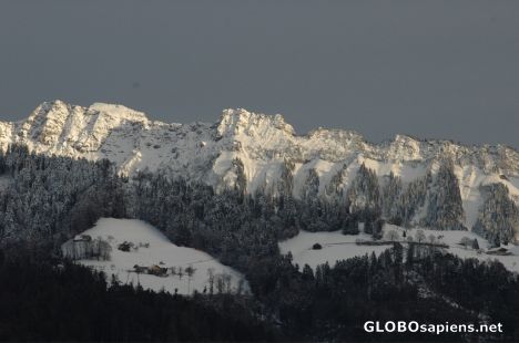 Postcard Fresh snow