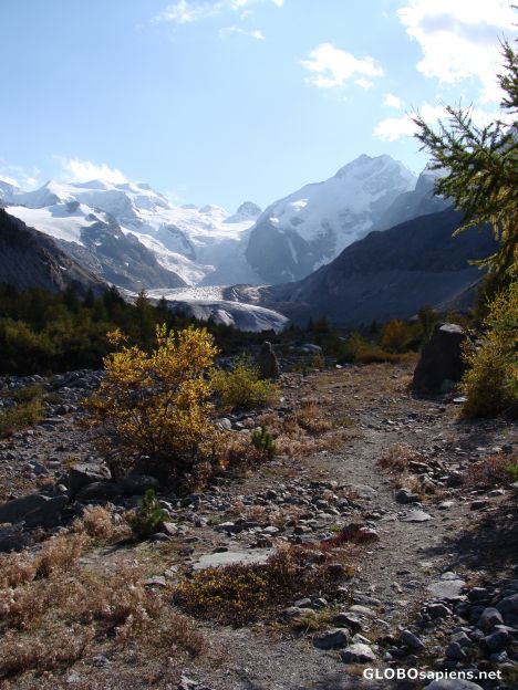 Postcard Morteratsch Glacier