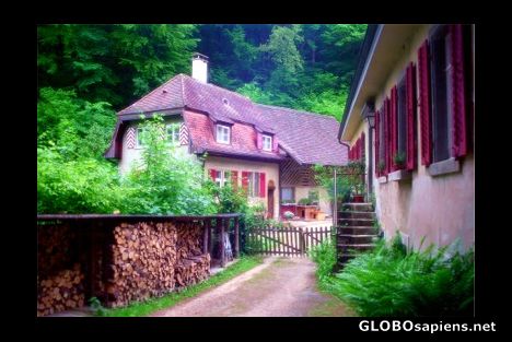Postcard Arlesheim forest, Switzerland