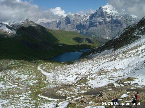Postcard Swiss Alps