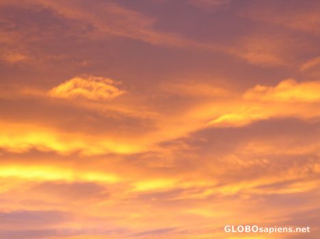 Postcard Skies are Burning