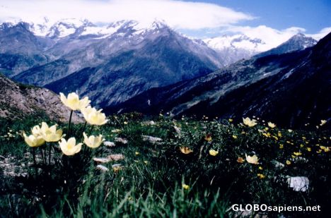 Postcard Mountainous region