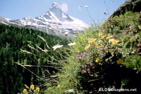 Postcard Matterhorn