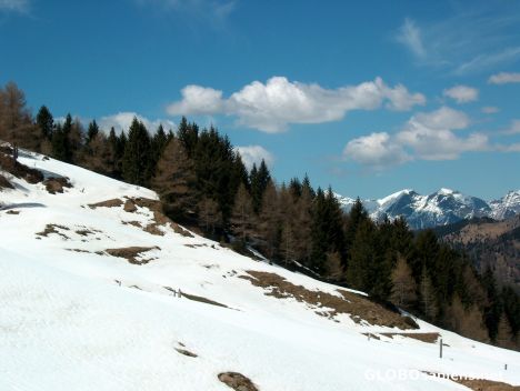 Postcard Snow in springtime