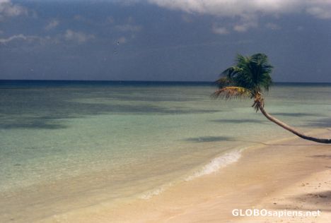 Postcard Life's a beach