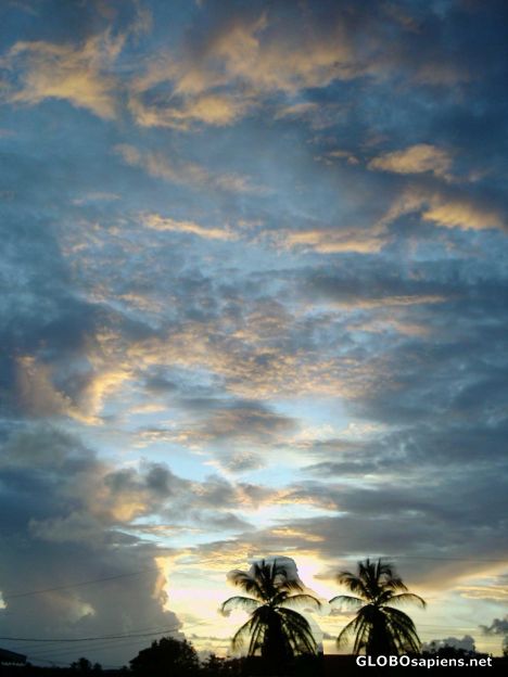 Postcard After the storm