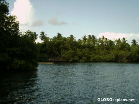 Postcard The Lagoon