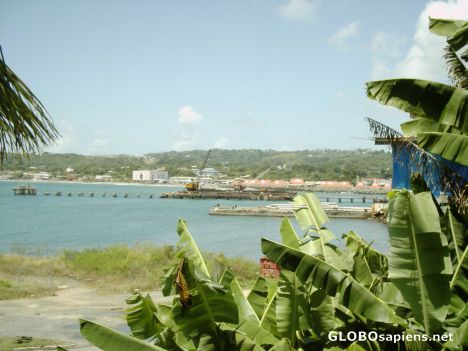 Postcard The new habour