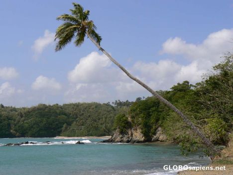 Postcard Typically the Caribbean