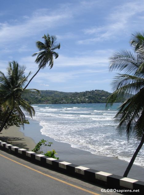 Postcard Roadside