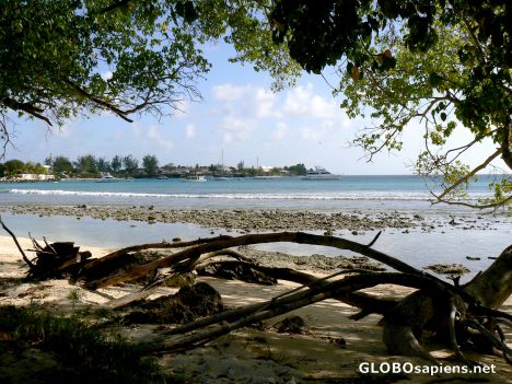 Postcard Low tide