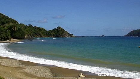 Postcard Tyrells Bay
