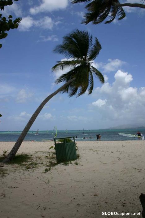 Postcard Tobago