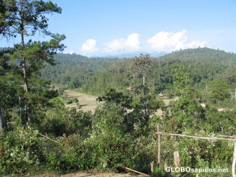 Postcard Chiang Mai Trek - View from camp